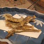 柳家 - あじめどじょう　天然記念物