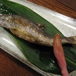 青嵐舎 - イワナ塩焼き