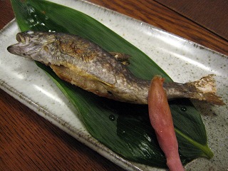 青嵐舎 - 鶴岡市その他（旅館・民宿）の写真