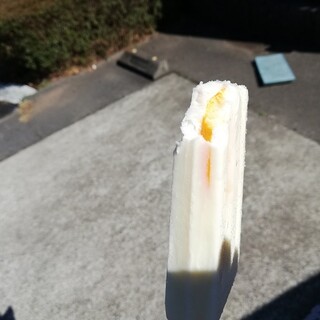 川奈駅でおすすめのグルメ情報をご紹介 食べログ