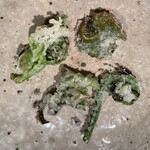 ろっかん - 山菜天ぷら