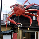 Echizen Kani No Bou - 越前蟹がいるインパクトのあるお店。しっかり足に、タグが付いてます。