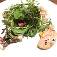 Selvaggio - 