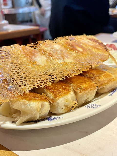 餃子ニュー伏見 伏見 餃子 食べログ 餃子ニュー伏見 伏見 餃子 食べログ