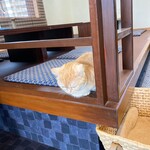 こぶたさんがころんだ。 - おや、メイ店長が