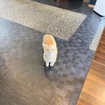 こぶたさんがころんだ。 - いらっしゃいにゃ