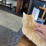 こぶたさんがころんだ。 - 店長、食べ終わりましたよ