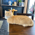 こぶたさんがころんだ。 - 美味かったのかにゃ？
      
      『はい（＾ω＾）美味しかったです！
      　　　　　　　ごちそうさまでした！（*థ౪థ）』