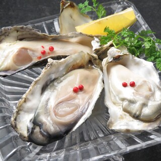 Proof of freshness! You can also eat raw Oyster.