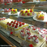 アロー ツリー - 