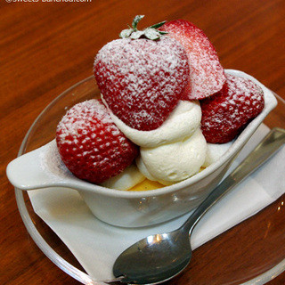 アロー ツリー_1