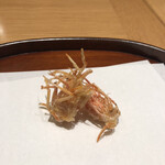 天麩羅 四季彩 村松 - さいまき海老の足。身を少し残しているせいか揚げ方の妙か、サクサクだけどふっくら。