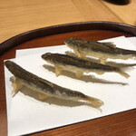 天麩羅 四季彩 村松 - この時期に稚鮎。小さいのにしっかり鮎の味