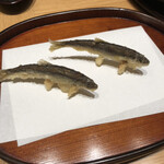 天麩羅 四季彩 村松 - 稚鮎。揚げ方、並べ方が可愛かったので2枚目（笑）