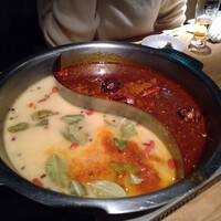 雪梅花 菜根譚 - 