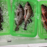 あき水産 輝 - 