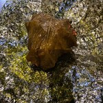 内臓専門 鄭家ホルモン - 
