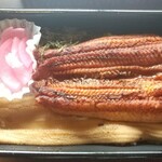 Unagi Toro Anago Tsushima Iduhara - 鰻と穴子の合盛丼
