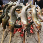 柳家 - ２匹目、いきまぁ～す