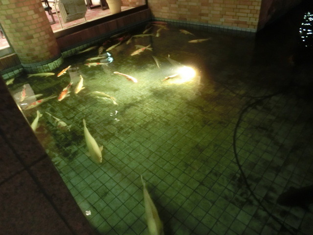 守山駅から徒歩数分 夜空を眺めながらビアガーデン 月や星を眺め夜風にあたり 虫の声を聴きながら飲むビールは最高です By Noribeat ヴェルデュール 守山 フレンチ 食べログ