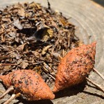 フロリレージュ - 