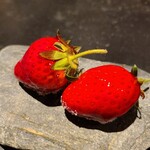 フロリレージュ - 