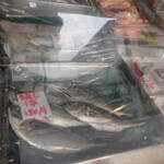桜井鮮魚店  - ショーケース