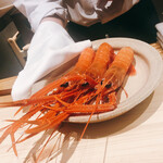 温石 - 活の赤座海老です。そろそろ名残かも？
      駿河湾産は旬のど真ん中かな？
      カブトを剥くと、一尾には青色の卵になりかけの素が入っておりました