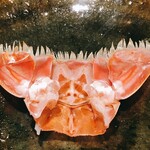 温石 - なんだかロールシャッハテストみたい。この対称系が何に見えるかで性格が分かるかも。尻尾の付け根の身までかじりとります。