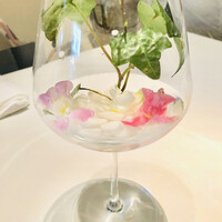 フレンチ割烹 宿 - 