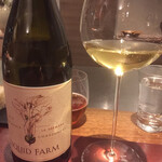 イル アオヤマ - 