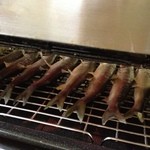 鮎茶屋 かわせ - 