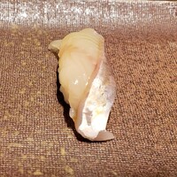 おたる政寿司 新宿店 - 