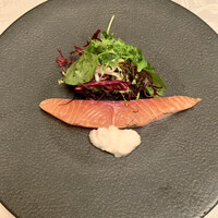 DINING 六区 - サーモンの40℃ミキュイ 新玉葱のソース