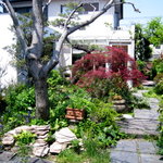 ルーラル・カフェ - あえて自然な感じで、季節の花や樹木が点在するお庭