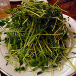 中国料理 東順永 - 豆苗炒め