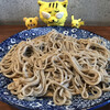 イボンヌ - 結構な細麺です