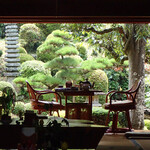 芳熊庵 くまそば - 日本間から見た庭