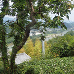 芳熊庵 くまそば - 庭の反対側はこんな景色