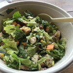 CRISP SALAD WORKS - 