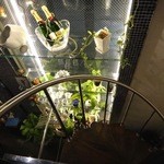 キアーロ・ディ・ルナ - 