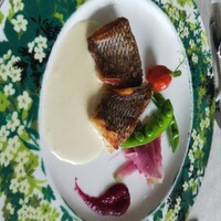 サンシャイン クルーズ・クルーズ - 