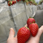 姫路ハートフル観光農園 - 