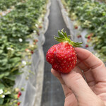 姫路ハートフル観光農園 - 