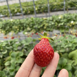 姫路ハートフル観光農園 - 