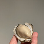 海鮮料理 王将 - 