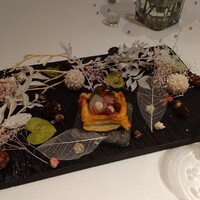 ジョンティ アッシュ - 