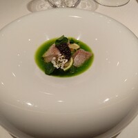 ジョンティ アッシュ - 