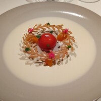 ジョンティ アッシュ - 