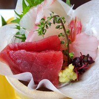大志満 横浜店 - まぐろ、鯛、甘エビ